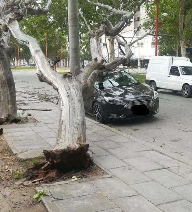 foto unik, berita unik, kumpulan foto unik