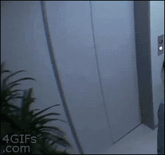 foto-foto gif game kocak di Jepang