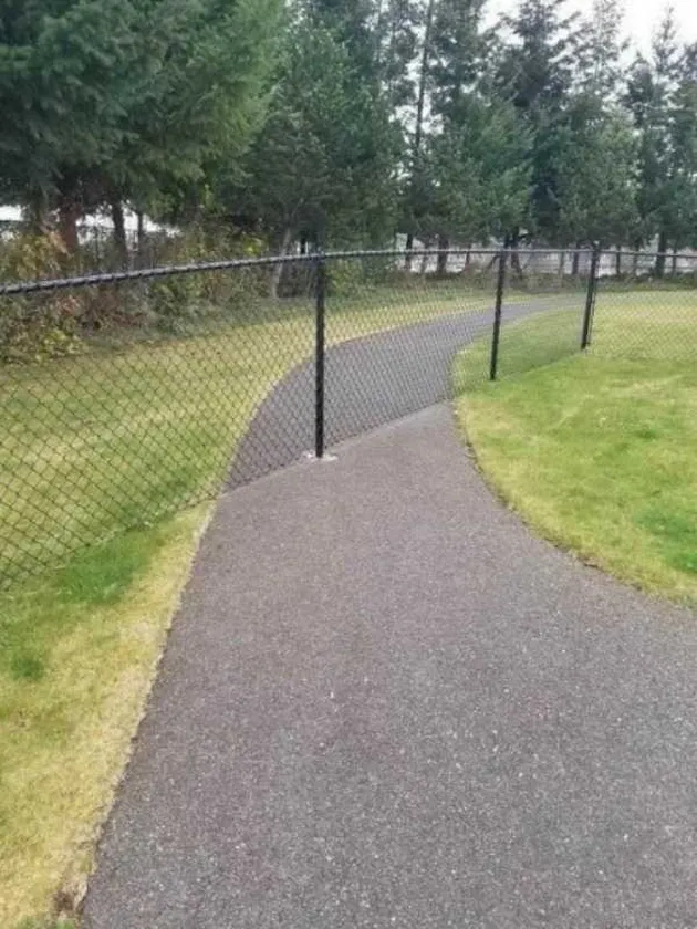 viral,foto viral, foto unik, foto aneh