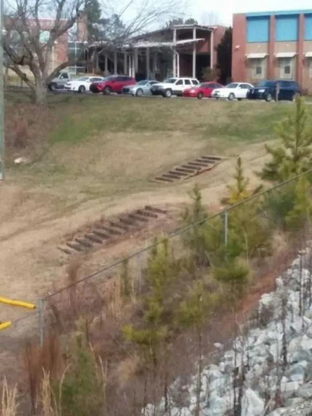 viral,foto viral, foto unik, foto aneh