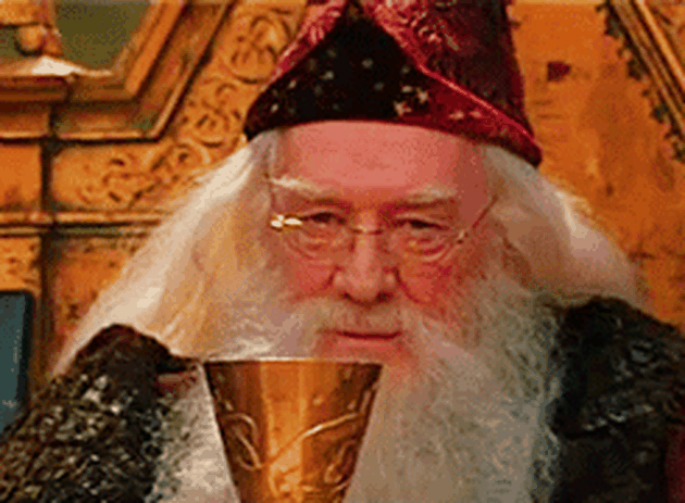 penyihir harry potter