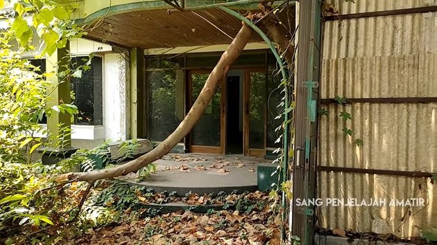 15 Potraits of Ayu Lestari's Abandoned Luxury House for 15 Years, Overgrown with Many Plants - The Creepy Atmosphere is So Evident