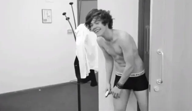 Harrys Styles