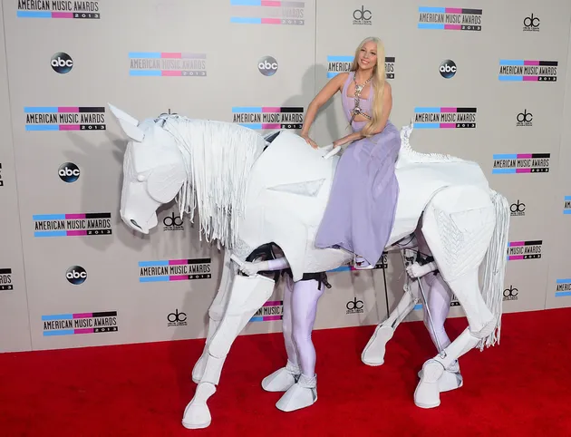 AMA 2013
