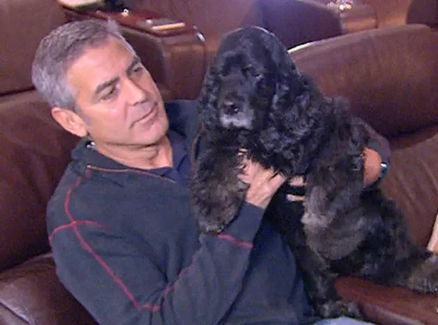 George Clooney