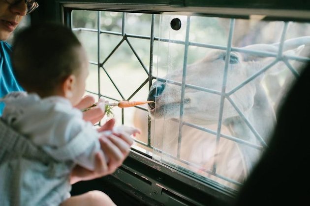 6 Photos of Shandy Aulia's Family Vacation to the Zoo, Baby Claire Fearlessly Approaches Animals