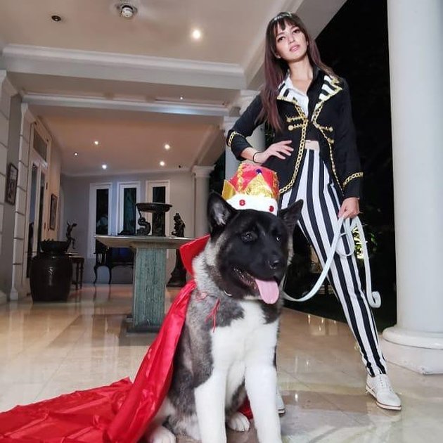 8 Portraits of Togetherness Nia Ramadhani and Maximus, the Beloved Dog