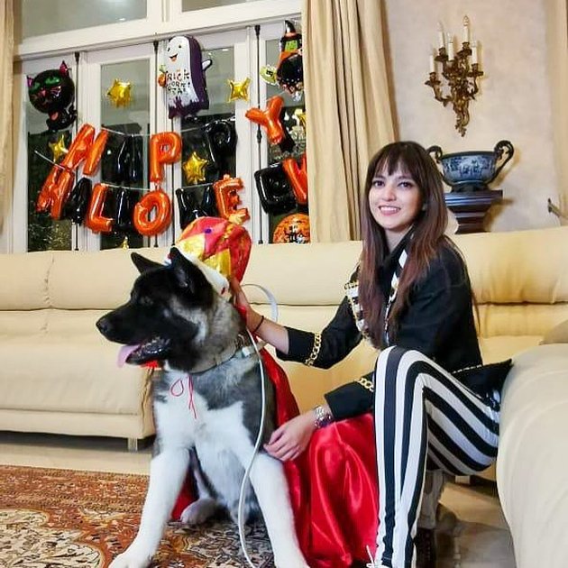 8 Portraits of Togetherness Nia Ramadhani and Maximus, the Beloved Dog