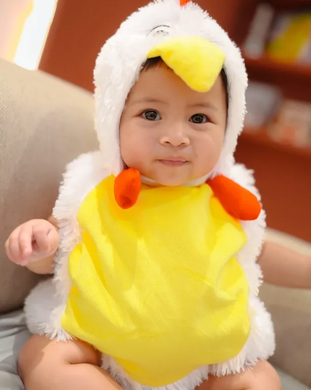 Lily anak Raffi Ahmad kostum ayam