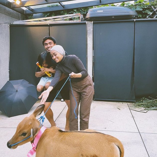 6 Pictures of Ayudia Bing Slamet's Birthday Gifted with Cute Little Cow, Mistaken for Deer - The Cage is Super Elite