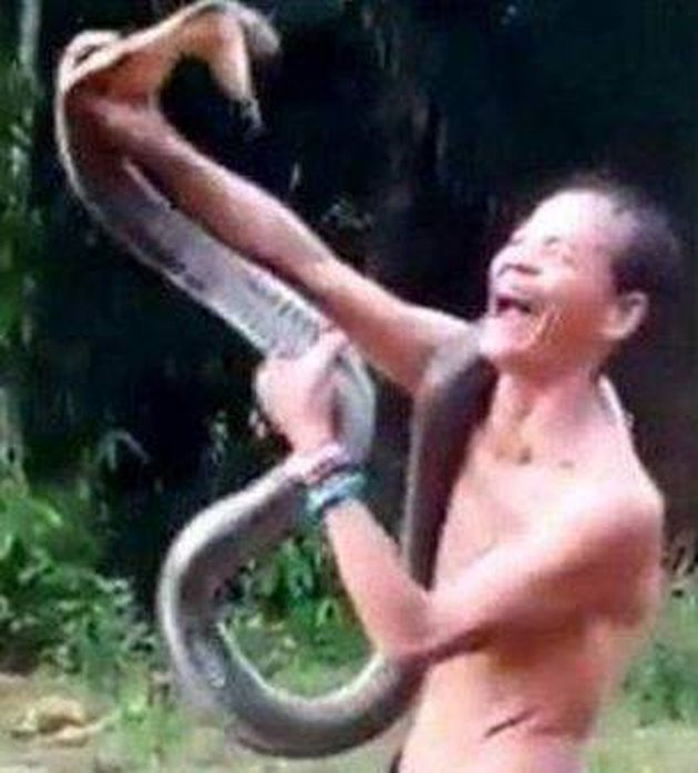 7 Photos of the Moment a Snake Handler was Bitten by a Cobra, Laughing Before Taking His Last Breath
