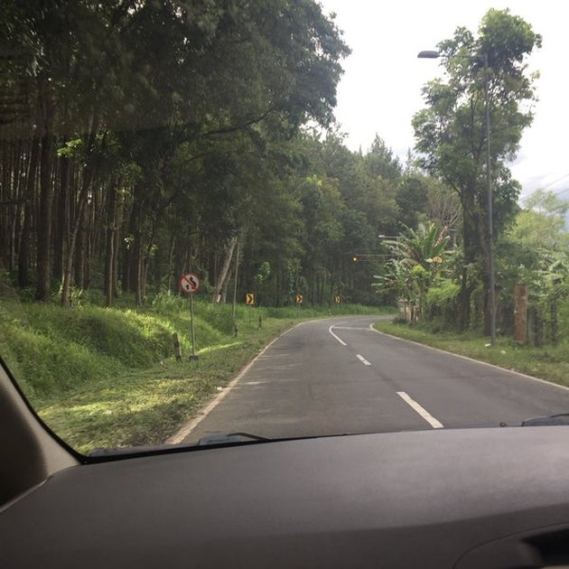 7 Portraits of Alas Gumitir Banyuwangi, the Place Suspected to be the Original Location of the KKN Story in Penari Village