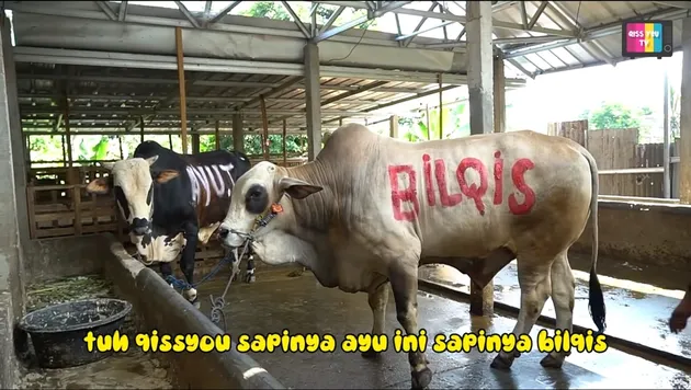 <nil>