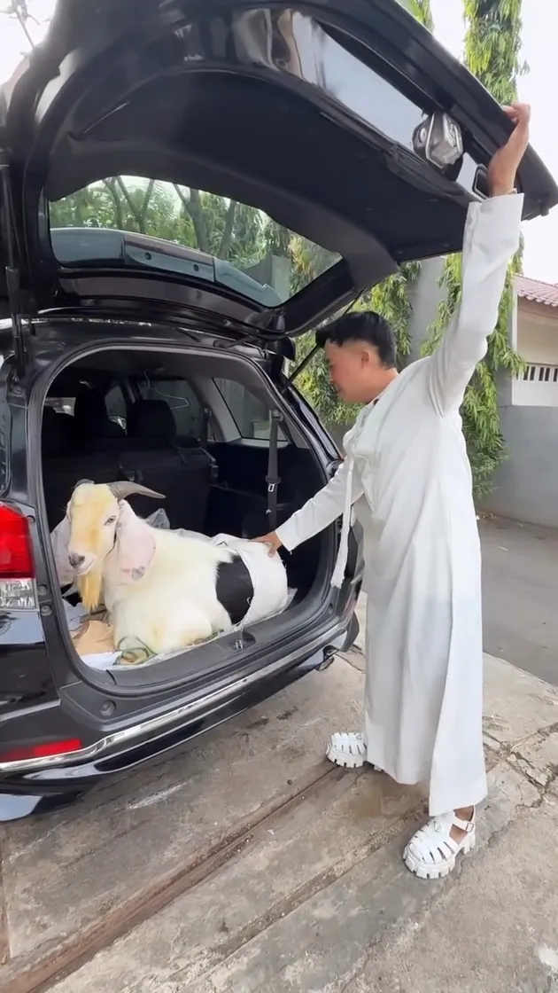 Irfan Hakim Dibawakan Kambing Oleh Anwar BAB