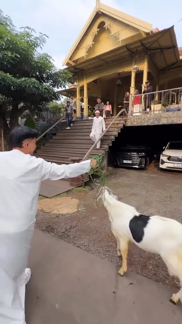 Irfan Hakim Dikado Kambing Oleh Anwar BAB