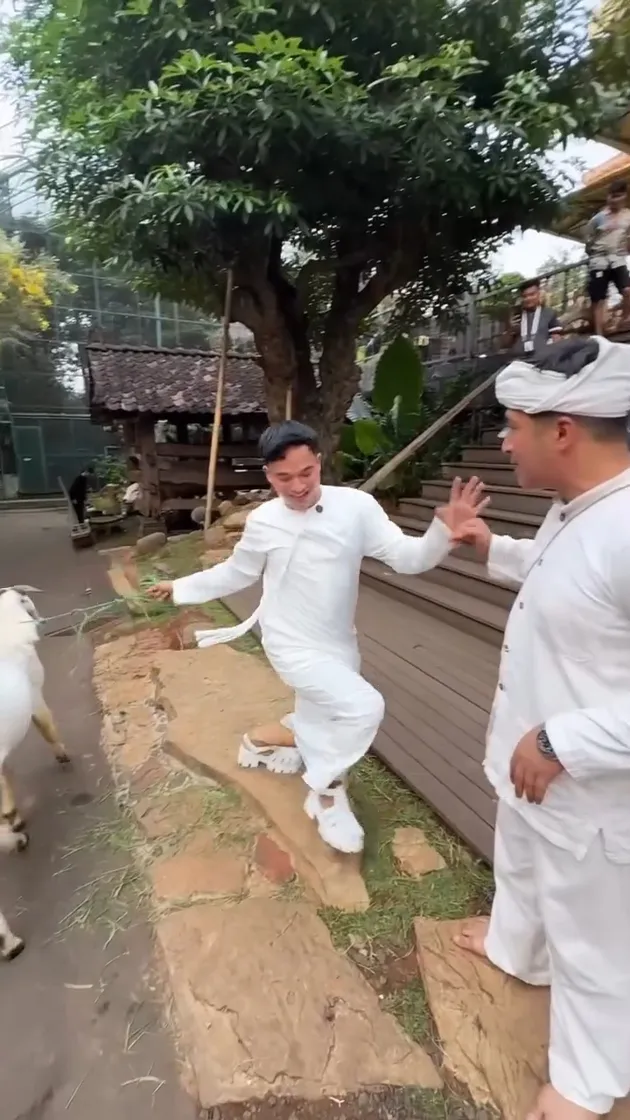 Anwar BAB kado Irfan Hakim Kambing