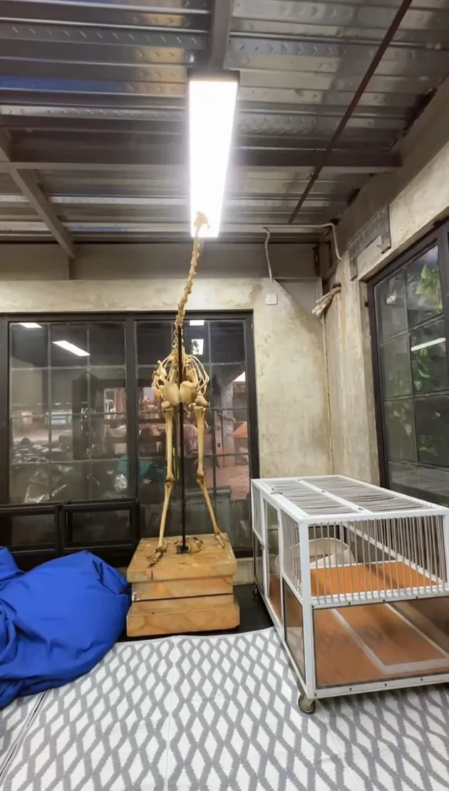 Klinik Hewan Irfan Hakim setela h ditata ulang