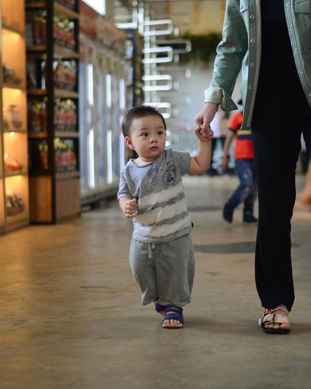 7 Portraits of Baby Air's Vacation to Farm House, Enjoying Strolls and Choosing Dolls - Netizens Focused on His Handsome Face