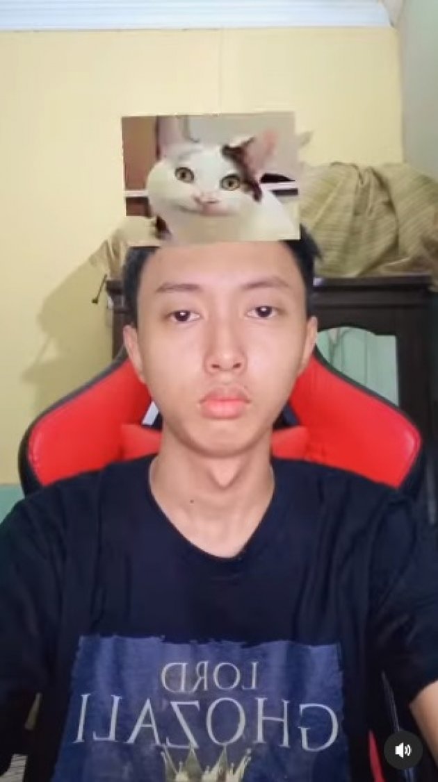 <nil>