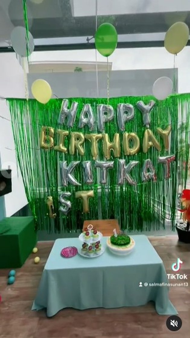7 Portraits of Kitkat the Cat's Birthday Party Celebrated Joyfully with Her Boyfriend
