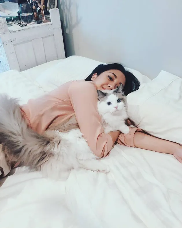 Kucing Seleb unik jimbon evgesha rawon 