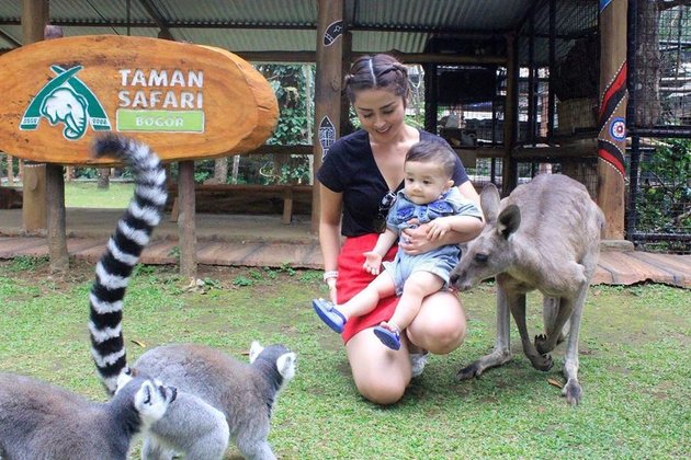 7 Portraits of Selvi Kitty Inviting Her Child to Taman Safari, Having Fun with Orangutans