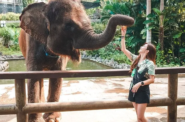 Franda - Samuel Zylgwyn Liburan ke Bali Zoo
