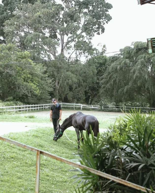 Stevanie Tawana Sheldrick sedang menemani kudanya istirahat