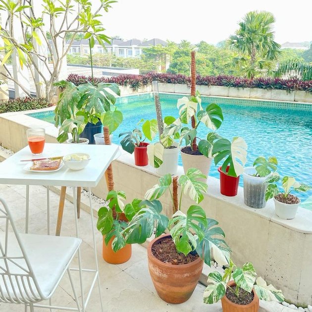 7 Favorite Breakfast Spots at Titi Kamal's House, Near the Swimming Pool - Beautiful Greenery