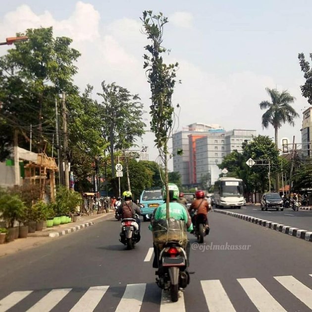 8 Unreasonable Items Carried by Online Motorcycle Taxi Drivers, There's Even a Tree!