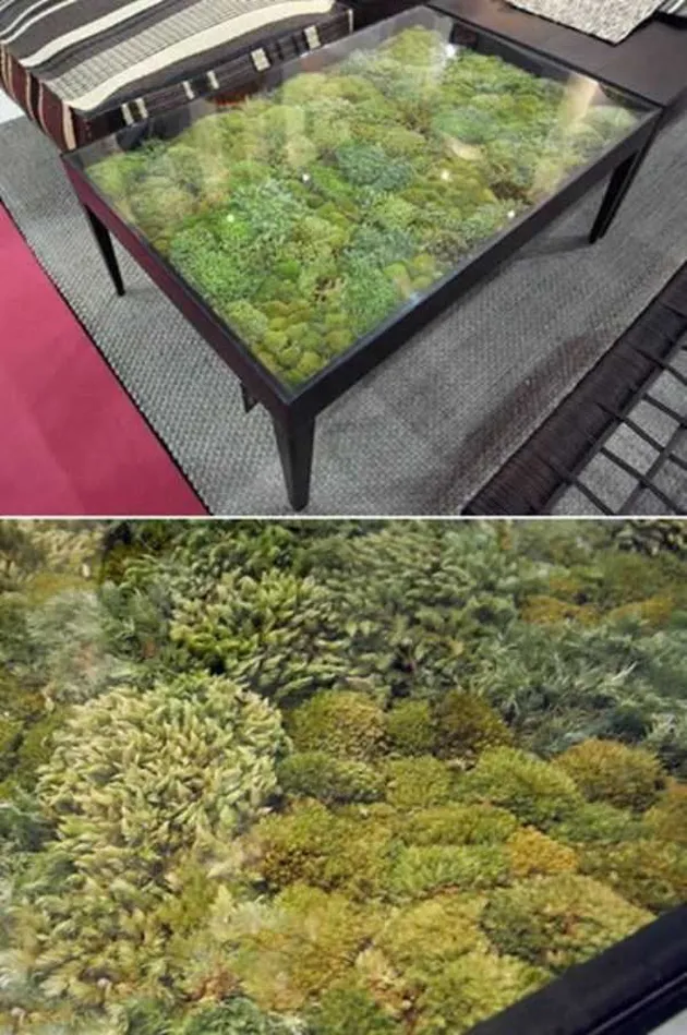 foto unik, foto aneh, foto lucu, foto keren