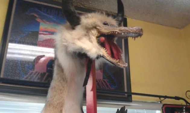 Barang Aneh di Pasar Loak