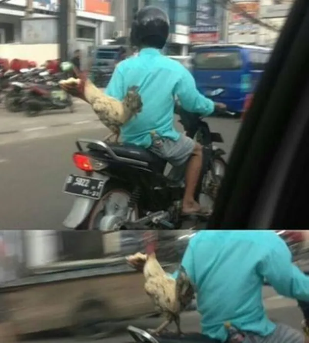 foto unik, foto aneh, foto lucu, foto keren