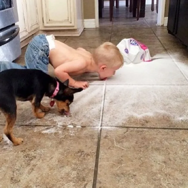 kelakuan anak, kelakuan bocah, kelakuan balita, kelakuan lucu balita