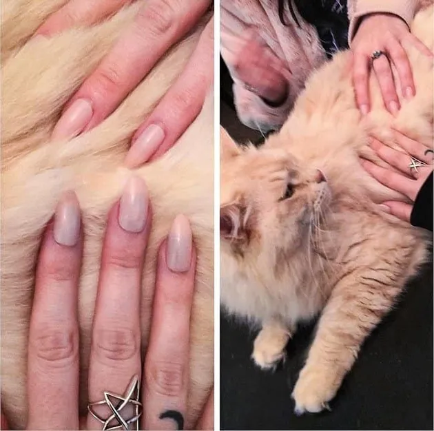 foto unik, foto aneh, foto lucu, foto keren