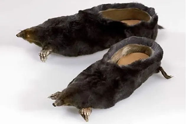 sepatu aneh, desain sepatu aneh, sepatu lucu, sepatu unik