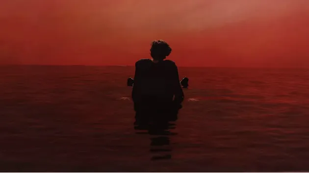 Fakta Dari Solo Karir Harry Styles
