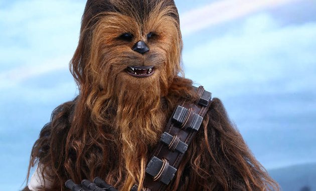 Terbuat dari apa bulu Chewbacca? Ternyata bulu dari alien sahabat Han Solo ini terbuat dari bulu Yak.