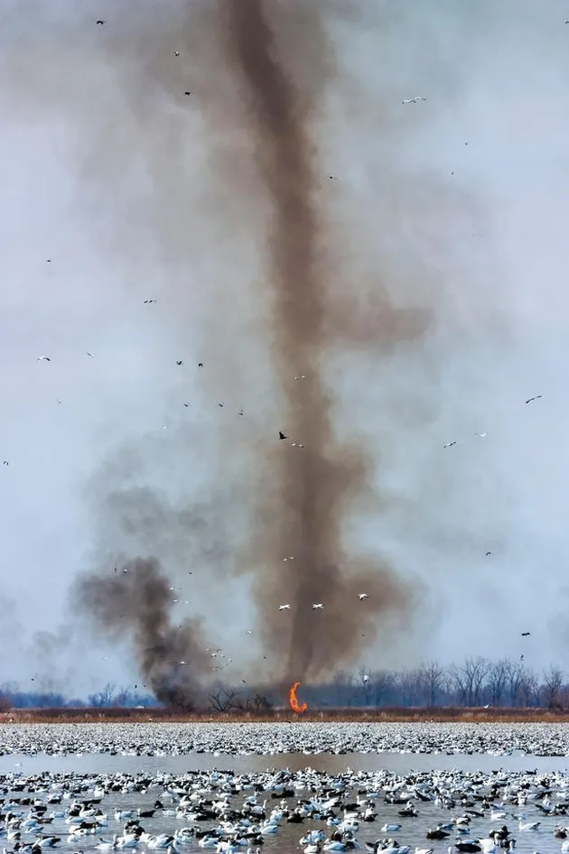 Strange Weather