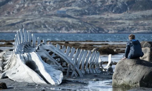 film yang masih diperbincangkan
