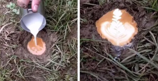 foto aneh, foto unik, foto absurd