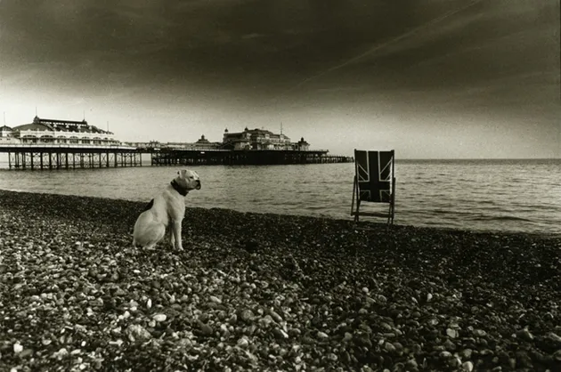 artwork musisi era punk