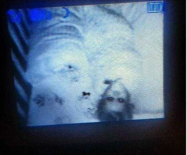 foto bayi, cctv, foto menakutkan, foto ngeri