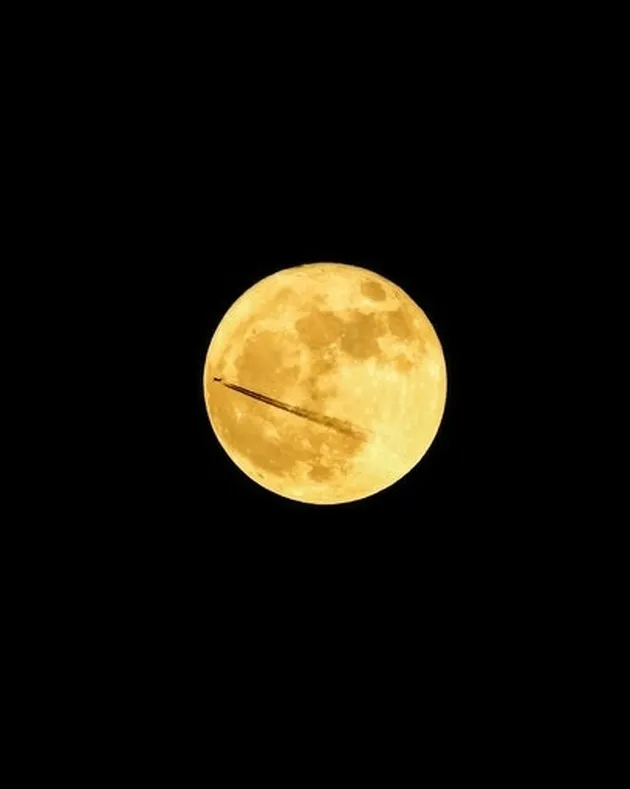 foto unik, foto aneh, foto lucu, foto keren