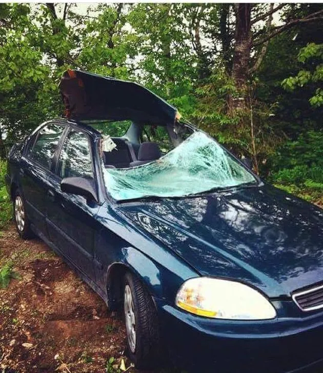 foto unik, foto aneh, foto lucu, foto keren