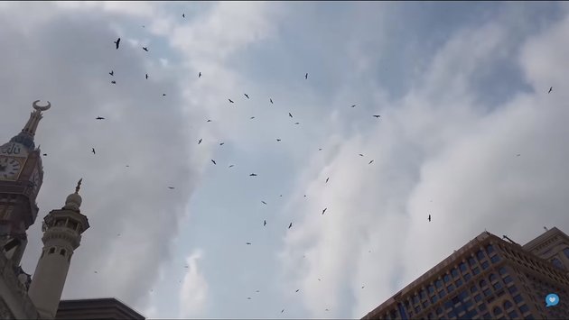 <nil>