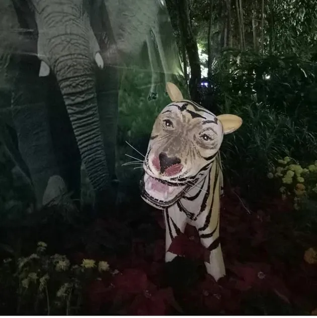 foto unik, foto aneh, foto lucu, foto keren