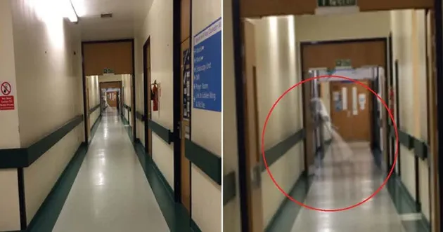 hantu, penampakan hantu, foto penampakan, foto hantu