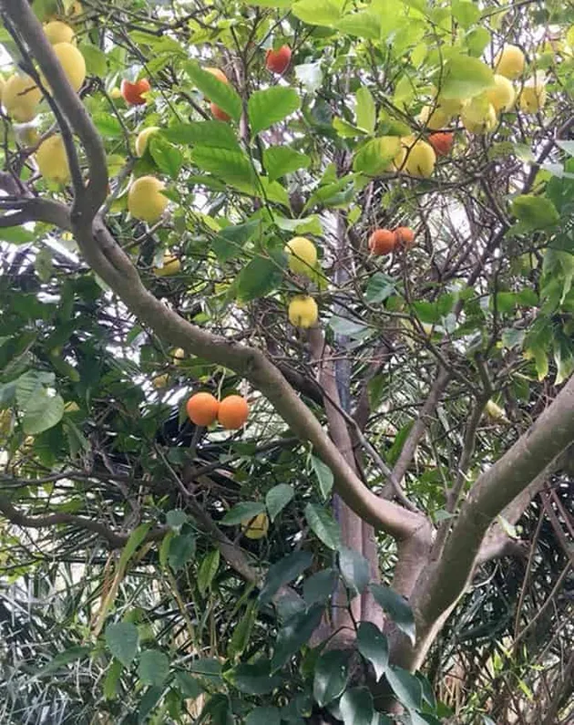 foto unik, foto aneh, foto lucu, foto keren