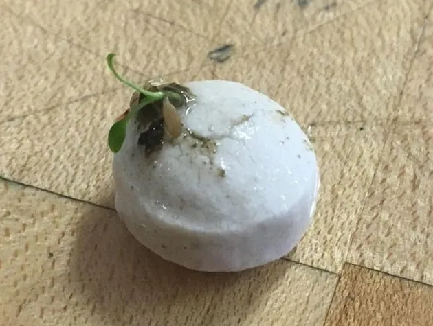 foto unik, foto aneh, foto lucu, foto keren